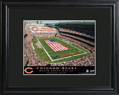 Chicago Bears Stadium Print