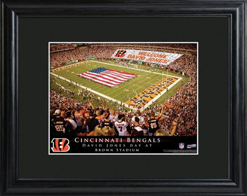 Cincinnati Bengals Stadium Print