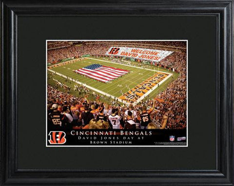 Cincinnati Bengals Stadium Print