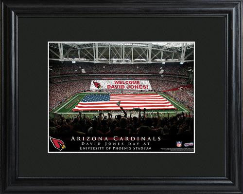 Arizona Cardinals Stadium Print