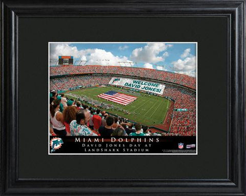 Miami Dolphins Stadium Print