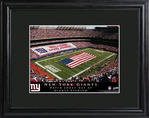 New York Giants Stadium Print