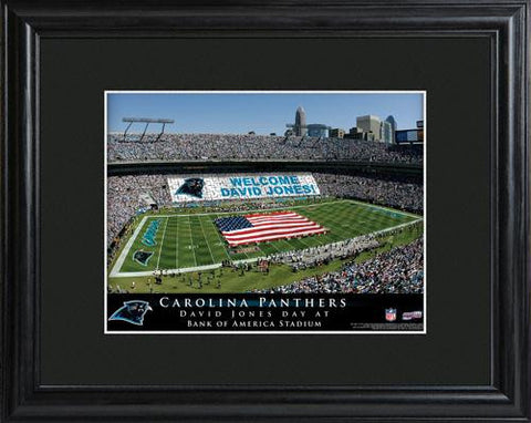 Carolina Panthers Stadium Print