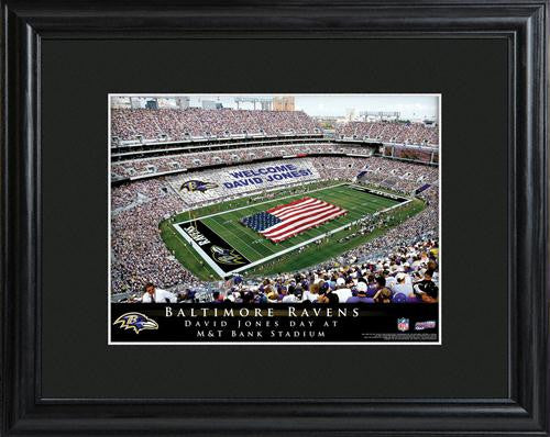 Baltimore Ravens Stadium Print