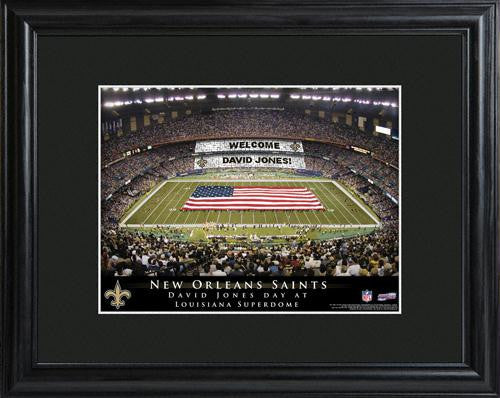 New Orleans Saints Stadium Print
