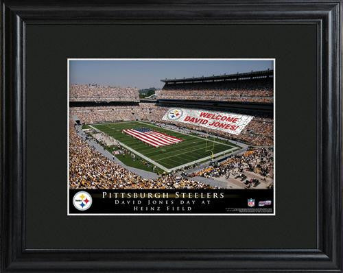 Pittsburgh Steelers Stadium Print