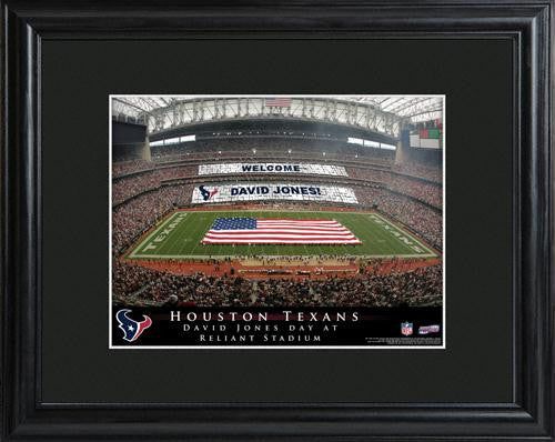 Houston Texans Stadium Print