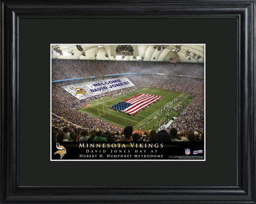 Minnesota Vikings Stadium Print