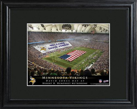 Minnesota Vikings Stadium Print