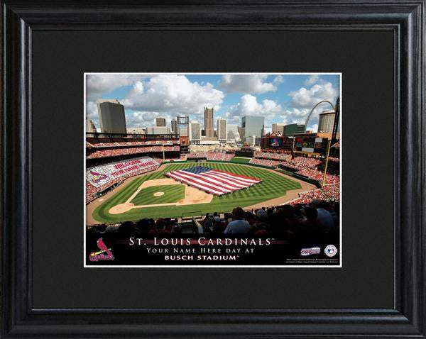 St. Louis Cardinals Stadium Print