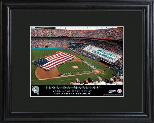 Florida Marlins Stadium Print