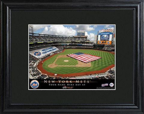 New York Mets Stadium Print