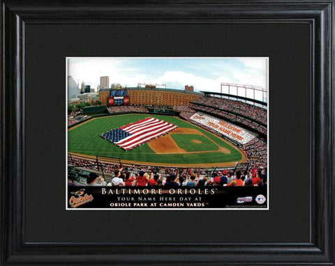 Baltimore Orioles Stadium Print