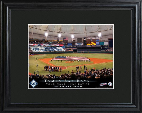 Tampa Bay Rays Stadium Print