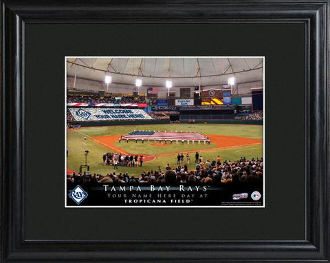 Tampa Bay Rays Stadium Print