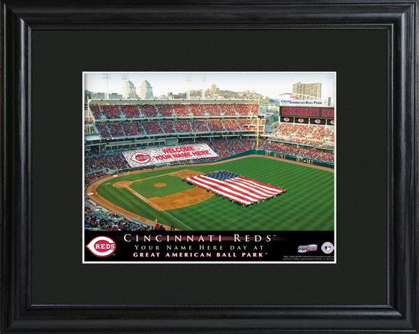 Cincinnati Reds Stadium Print