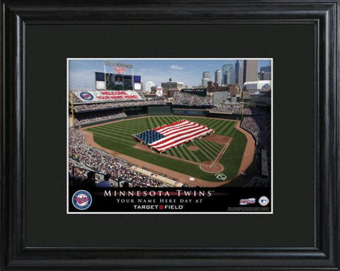 Minnesota Twins Stadium Print