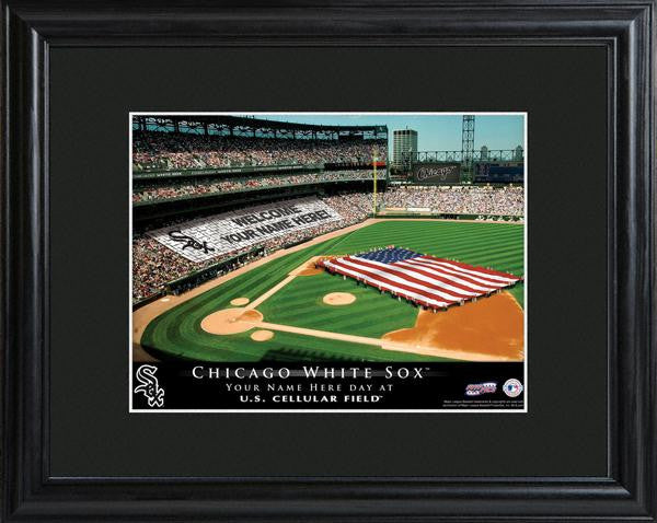 Chicago White Sox Stadium Print