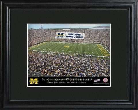 Michigan Stadium